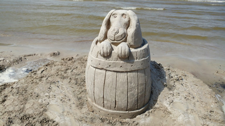 Dog in a Barrel