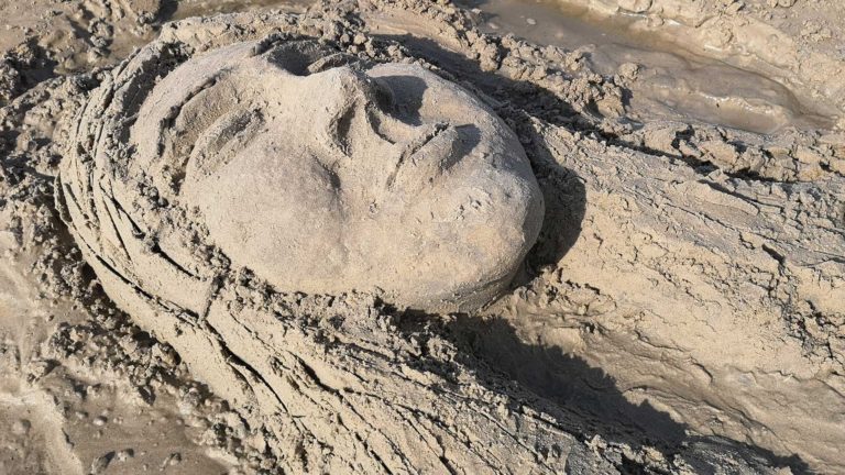 Face Appears in Sand